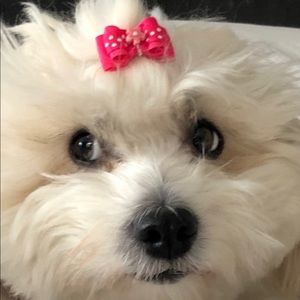 Meet your Posher, Tracy